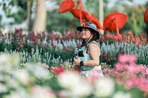 BIB: 
                            <button type="button" onclick="openModal(25934747)" class="btn btn-primary btn-sm float-right btn-popup" data-toggle="modal" data-target=".modal-high-quality">
                        <i class="fas fa-shopping-cart"></i> Add to Cart
                    </button>
                                            <button type="button" onclick="isThisMe(25934747, true)" class="btn btn-success btn-sm float-right btn-popup btn-isme hidden" data-toggle="tooltip" data-placement="bottom" title="นี่คือรูปของคุณใช่ไหม คลิกที่นี่เพื่อเอาเข้าอัลบั้ม">
                        <i class="fas fa-plus"></i> Add to album
                    </button>
                    <button type="button" onclick="isThisMe(25934747, false)" class="btn btn-warning btn-sm float-right btn-popup btn-isnotme hidden">
                        <i class="fas fa-ban"></i> Remove from album
                    </button>